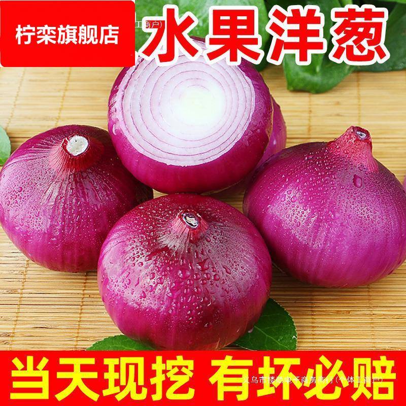 紫皮洋葱新鲜洋葱头生吃货农家自种蔬菜甜红皮圆葱斤包邮