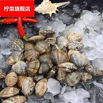 3斤装连云港海鲜新鲜花甲鲜活花蛤蜊花蚬子杂色蛤花蛤肉贝类