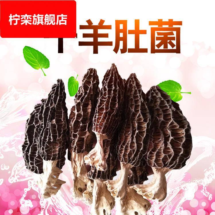 羊肚菌干货云南特产松茸片羊肚香菇蘑菇煲汤干羊肚菌