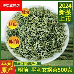 .2024头采春茶平利女娲茶 陕西安康茶 高山绿茶高档女娲毛尖茶