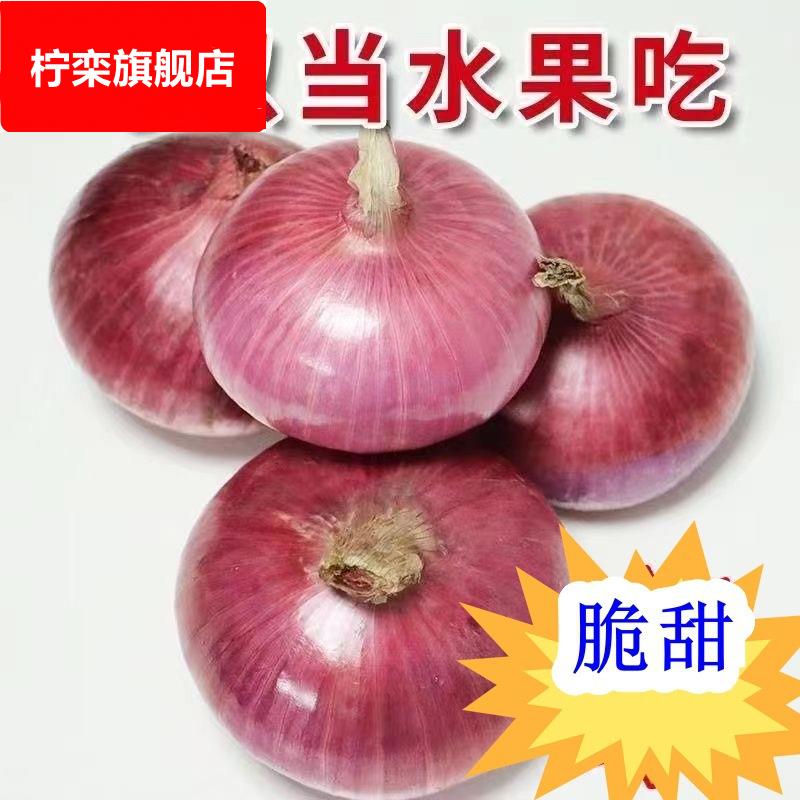 新鲜紫皮水果洋葱5斤小洋葱甜味生吃蔬菜不辣红皮大圆葱头