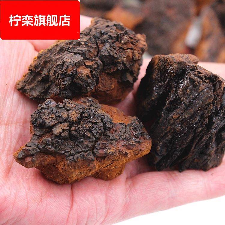 桦树茸白桦茸高密度黑皮快桦褐孔菌500克/袋