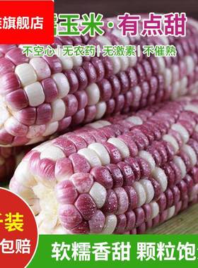 农家新鲜花糯玉米彩色紫色甜糯玉米生水果玉米棒带皮整箱现摘9斤