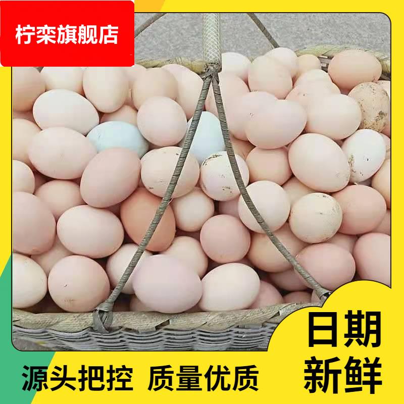 【40枚装】农家散养大个土鸡蛋10-40枚新鲜笨鸡蛋整箱包邮
