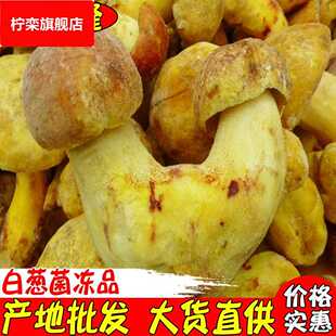 酒店野生菌冻品 黄牛肝白葱菌 大货 冷冻白葱菌