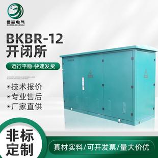 BKBR 12开闭所环网柜六氟化硫开闭所高压充气柜配电柜智能电网