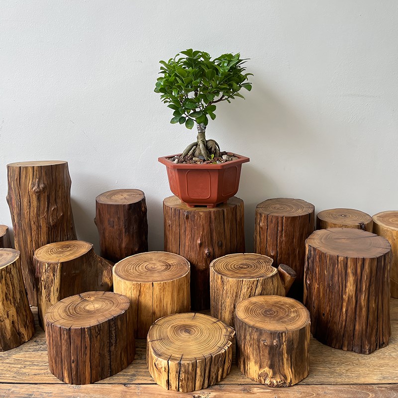 实木墩子原木树桩木墩花架底座侘寂风木头摆件茶几根雕木桩矮凳子