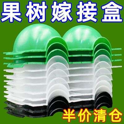 植物高压嫁接盒繁殖球生根包控根神器果树扦插育苗背枝园艺林透明