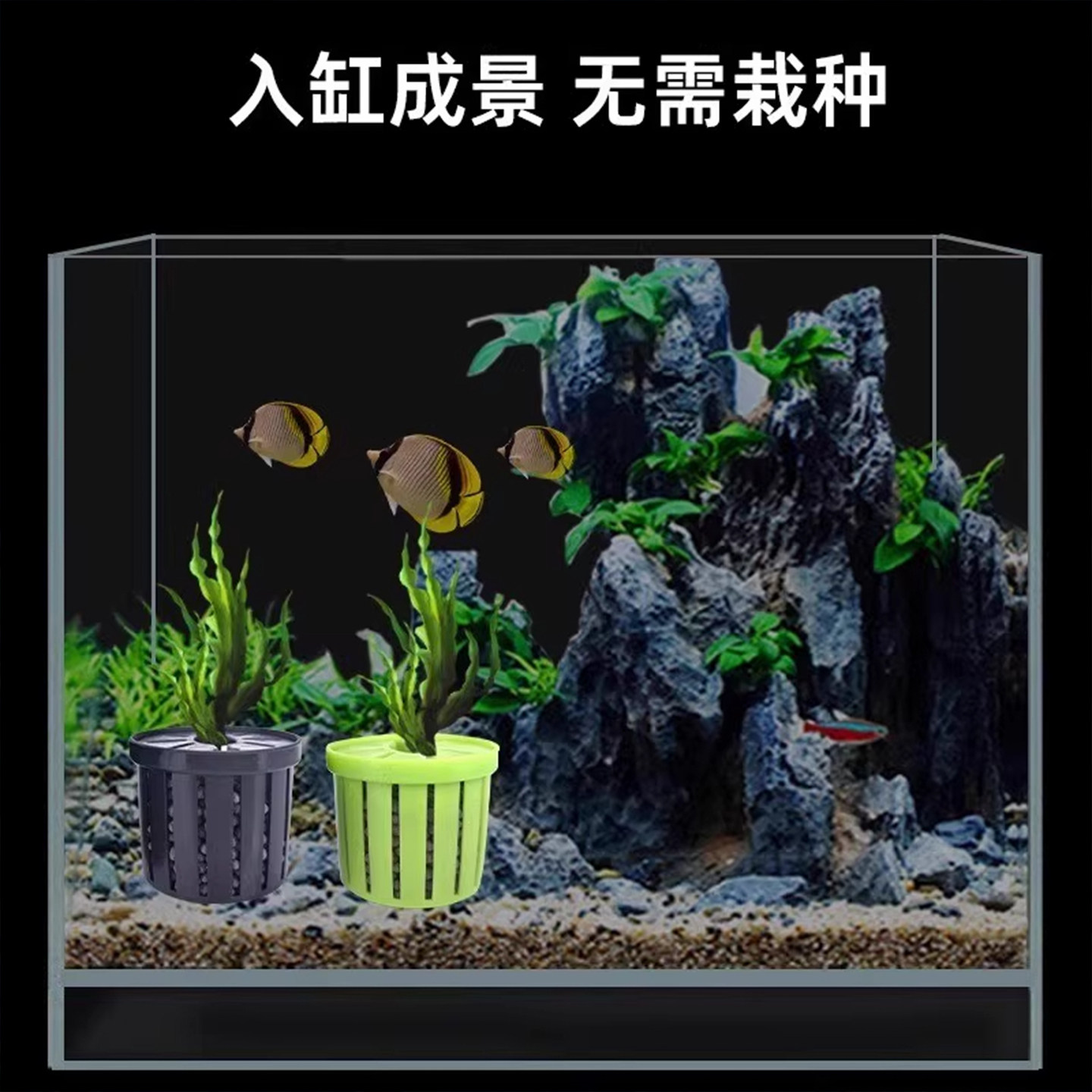鱼缸水草定植篮养草杯花卉固根器水草泥沉底固定神器家用造景装饰