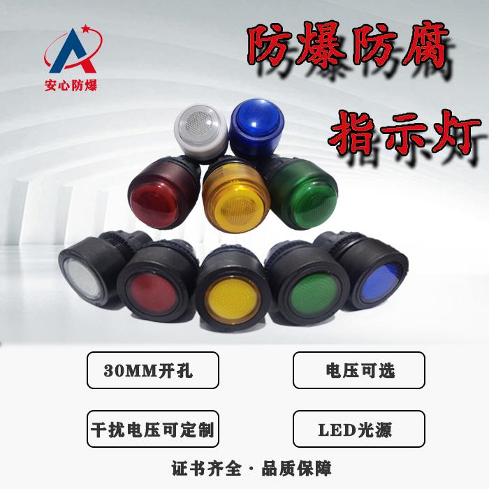 防爆防腐指示灯信号灯30MM IP66 防爆箱 220V 24VLED ExdeIIC红色