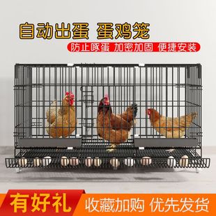 鸡笼a子家用室外大号自动清粪养鸡笼鸭笼子室内小鸡鸽子笼子 新款