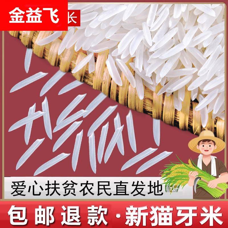 广西猫牙香米当季新米煲仔饭丝苗大米蛋炒饭长粒香米油粘米农家米