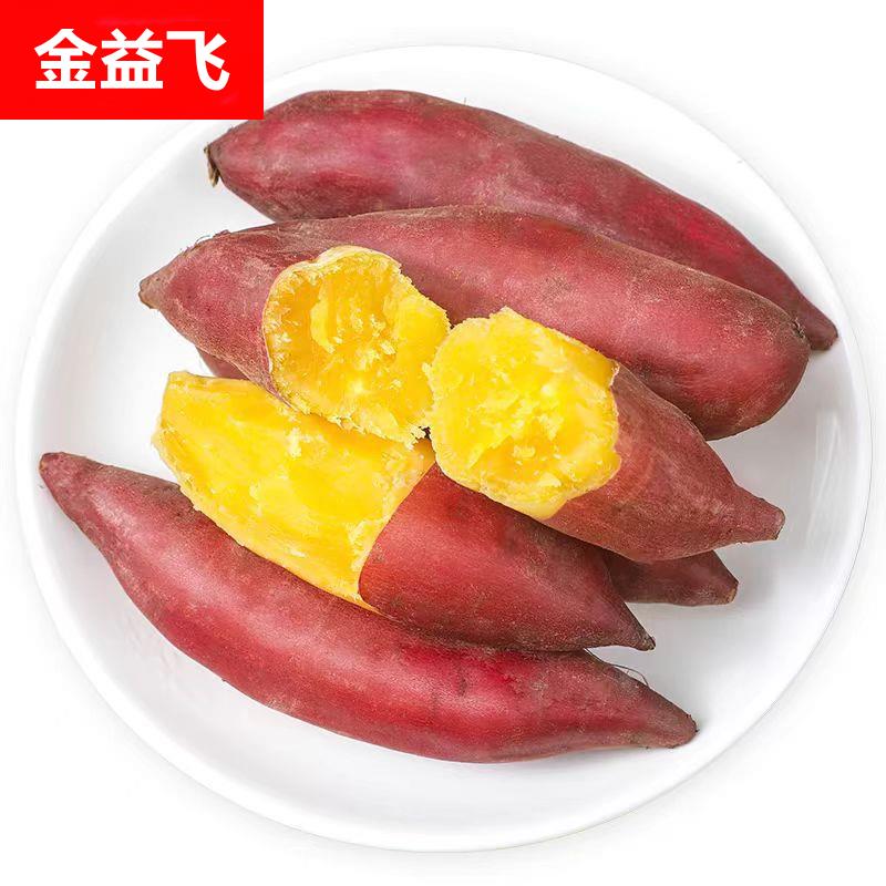 临安天目山小香薯5斤正宗板栗红薯新鲜农家自种小番薯地瓜蜜薯