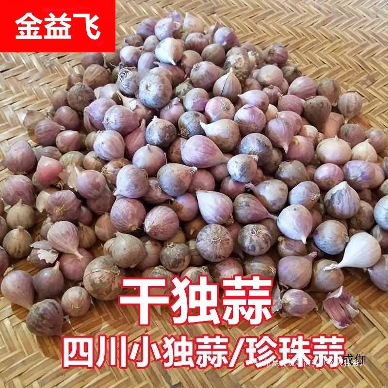 四川农家自种紫皮独头珍珠蒜大独头蒜紫蒜新鲜红皮大蒜头干蒜包邮