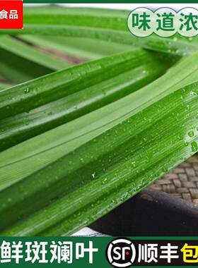 斑斓叶新鲜食用香兰叶班兰叶商用500g蛋糕烘焙甜品千层芒果糯米饭