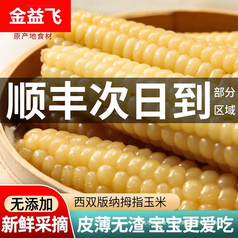 云南西双版纳拇指小玉米新鲜手指宝宝糯玉米黏早餐即食真空甜玉米