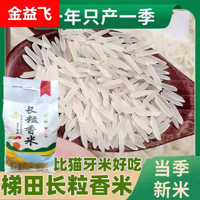新米贵州梯田长粒香米晚稻农家米自种软米细粒长米斤