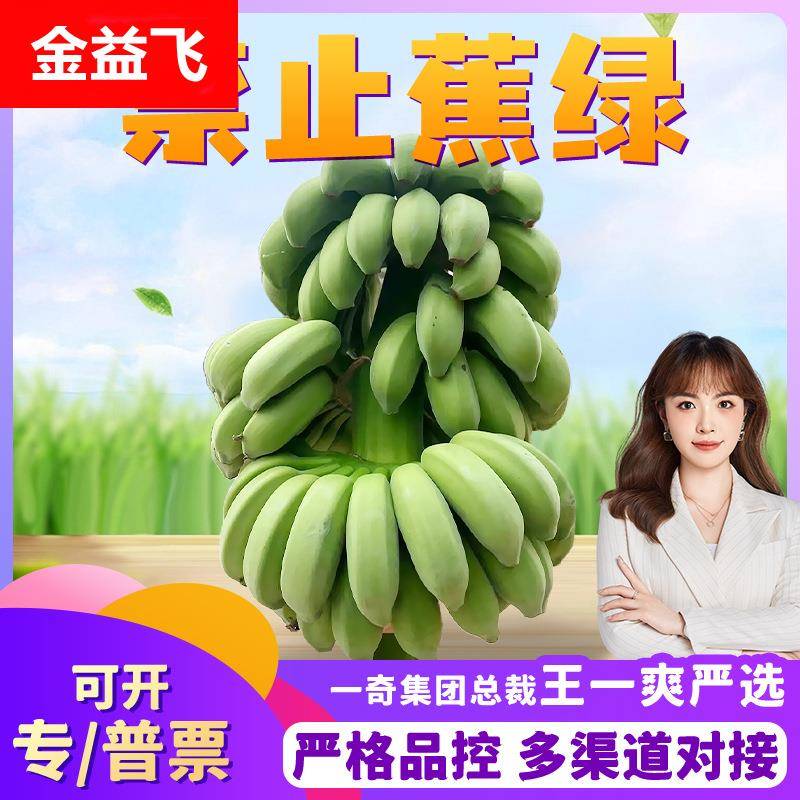 【禁止蕉绿】广西小米蕉带杆 2/6斤整片盆栽绿植香蕉观赏水果