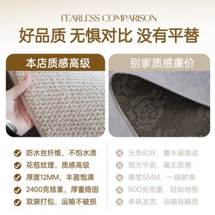 圆形地毯客厅卧室防水防污单人型沙D发茶几高级感奶油风椅子垫定