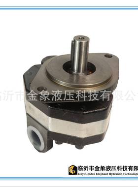 齿轮泵CBFC16二孔18平键20侧出25后出32/40/50/63/80/90/100花键