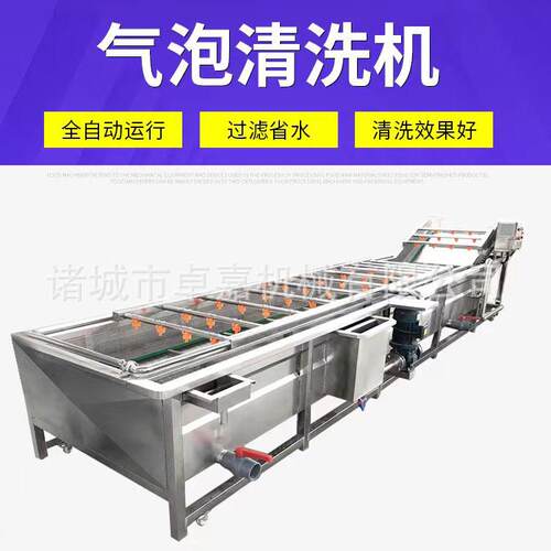 净菜加工流水线气泡清洗机山野菜果蔬清洗设备蓝肝菜气泡清洗机