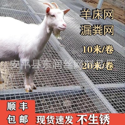 羊床漏粪网不生锈热镀锌钢丝养殖钢丝网羊床钢网钢丝围栏网
