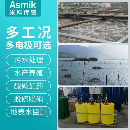 米科工业污水在线pMIK-PH60h传感器头 水处探理PH监高精度测pH值