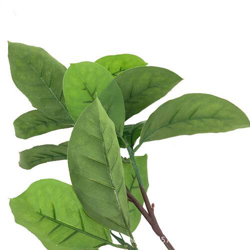 仿真3叉高榕叶高榕山叶常058青生态植物假树子叶程工榕树叶子