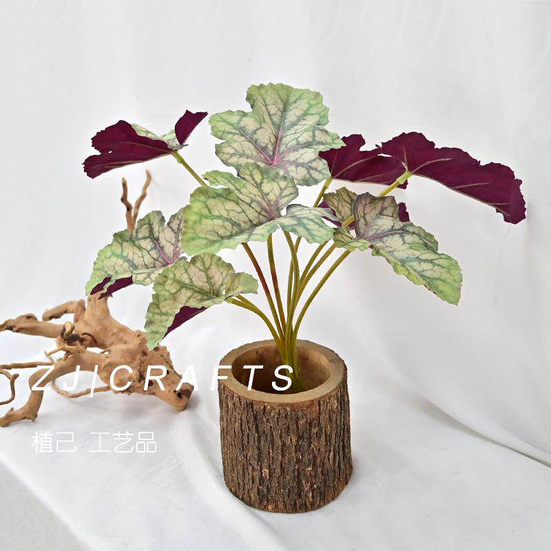 仿真彩芋叶水瓜花烛哈密叶矾根叶仿真绿植