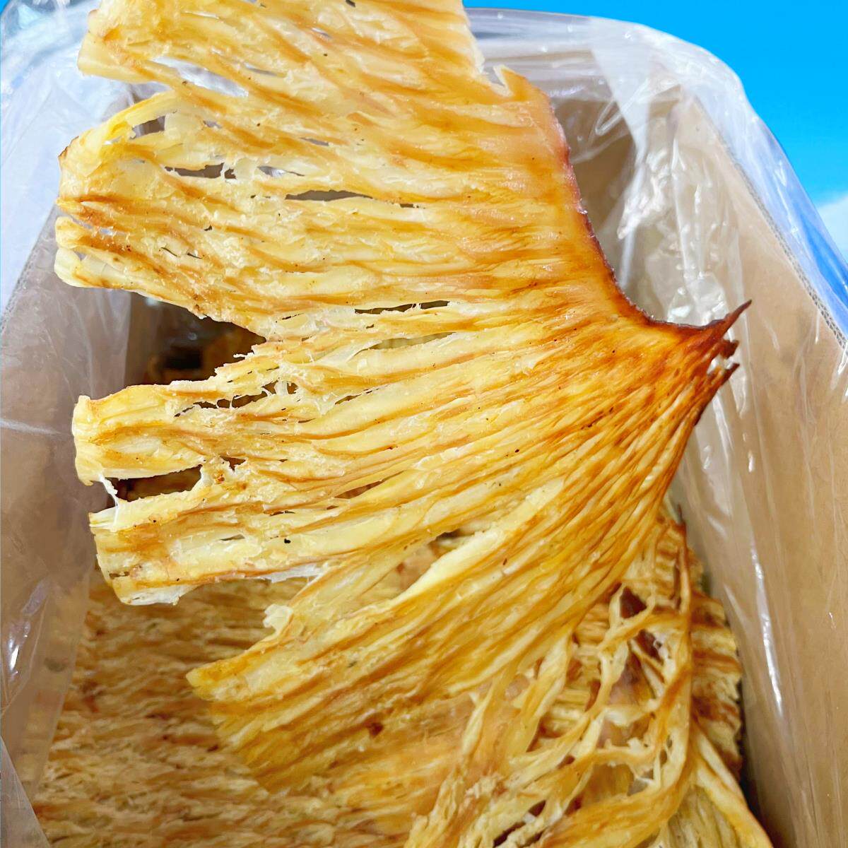 大连特产鱼儿村鱿鱼大烤鱿鱼尾片风琴片即食零食礼品小吃多种包装