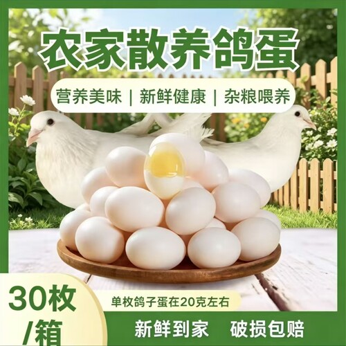 太行山双母鸽子蛋散养五谷初生