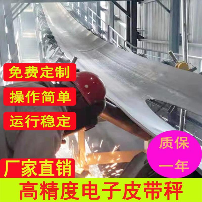 厂家销售定量给料机皮带秤调速配料全自动计量称重设备环保高精度