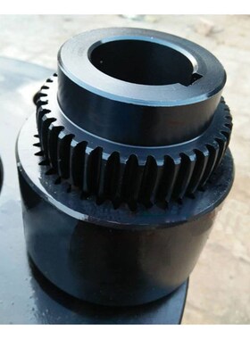 JASHION NGCLZ鼓形齿式联轴器带制动盘齿式联轴器挠性带齿联轴器