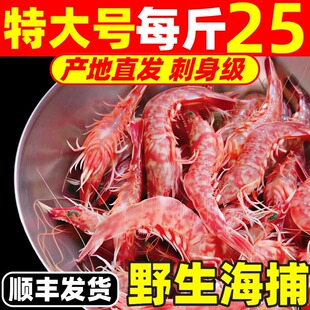 樱花虾刺身甜虾特大新鲜鸡冠虾斑节虾红虾生腌海鲜水产海虾海捕