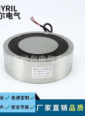 YR-P200/63吸盘电磁铁 吸力1500KG起重电吸盘 DC12V24V直流电磁铁