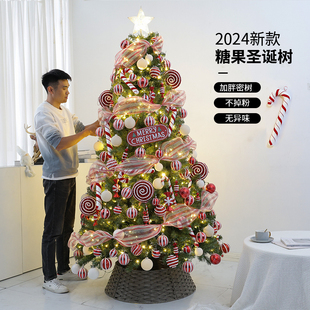 圣诞i树装 2024新款 饰家用圣诞节网红ins风客厅diy大型摆件加密套