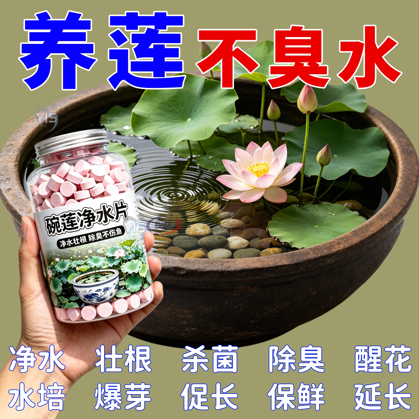 碗莲荷花净水片催芽睡莲开花黄叶叶面黑烂叶增肥水培绿植园艺肥料