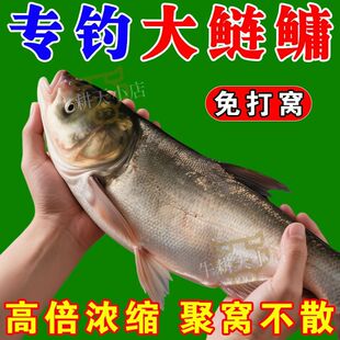 鲢鳙小药花鲢白鲢大头鱼雄鱼饵料野钓水库鱼饵胖头鱼方块窝打窝料