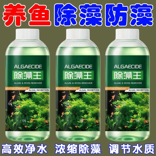 【专除鱼缸藻类】打造空气鱼缸