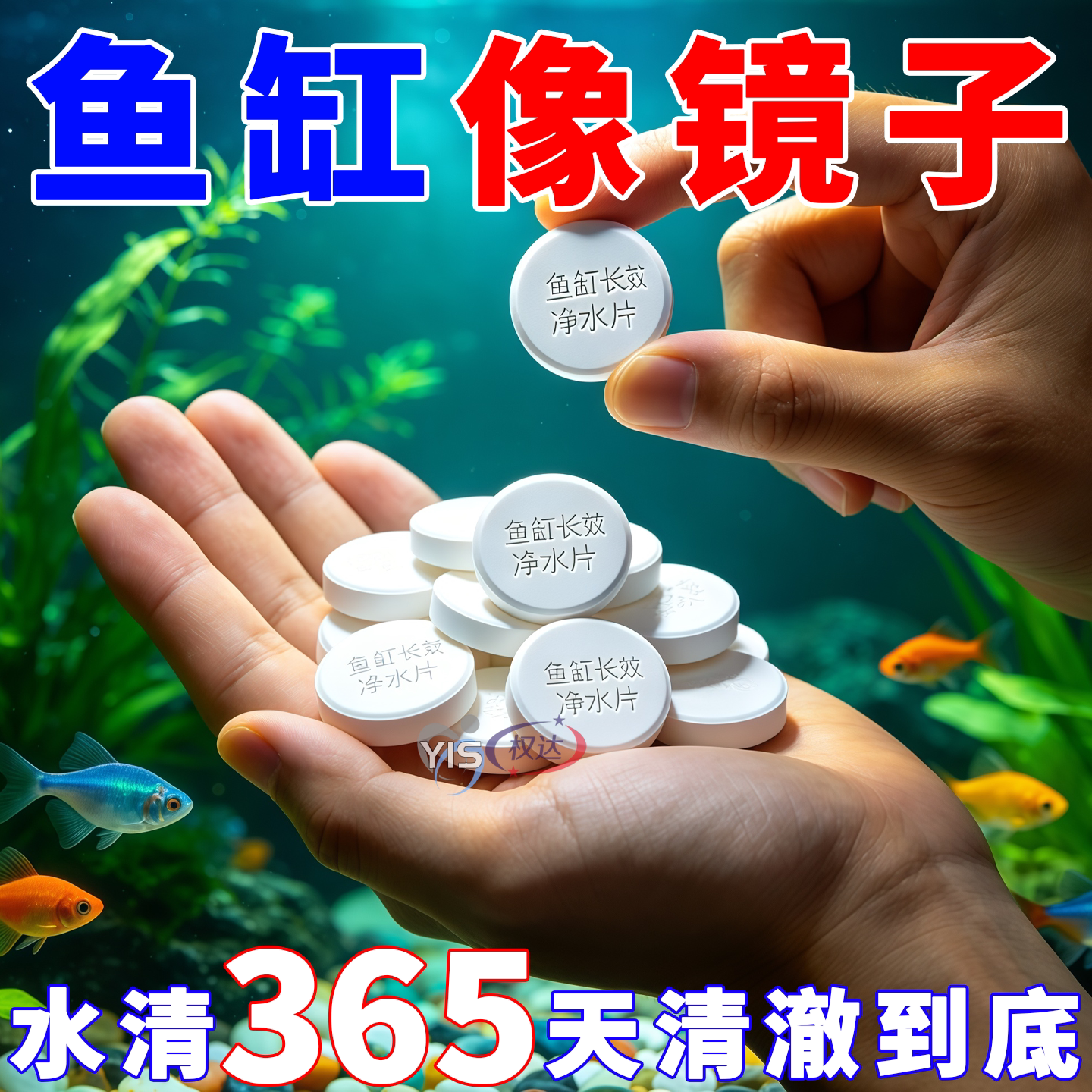 【净水分解杂质】鱼缸持久净一年