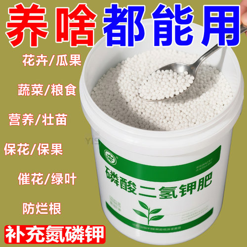 速溶好吸收磷酸二氢钾催花促果