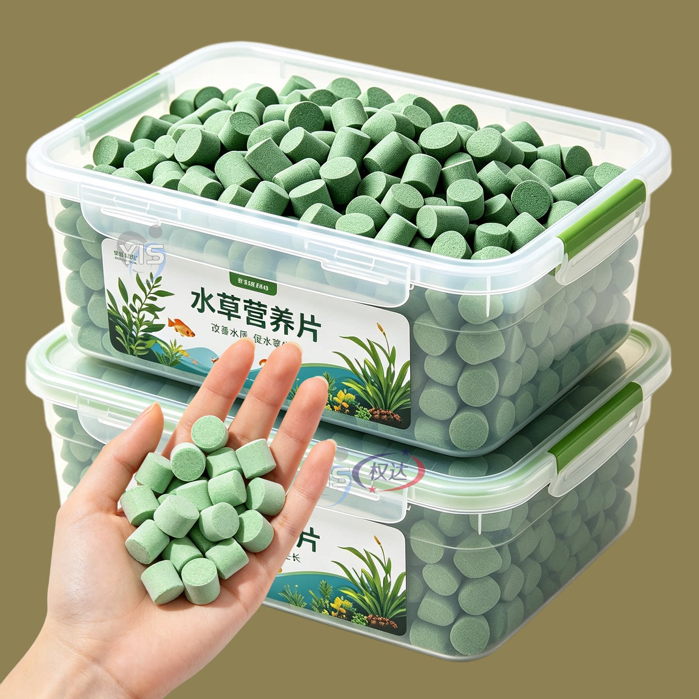 水族营养片底床施用滋养各类水草