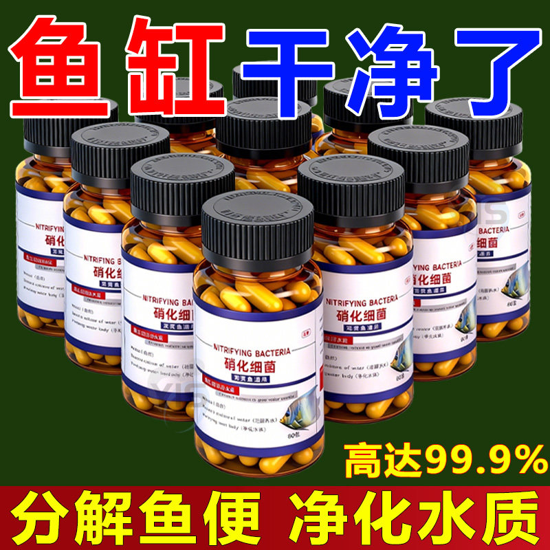 硝化细菌鱼缸用专用胶囊净水剂颗粒活菌干粉水质稳定净化水族鱼用