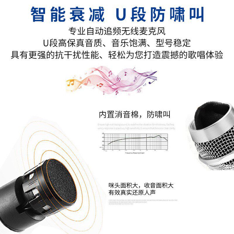 音王麦风一拖二段防啸叫卡拉舞台话筒