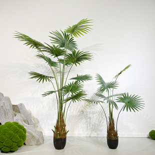 仿真蒲葵扇叶葵棕榈叶落地假绿室内阳台橱窗庭院造景装饰摆设