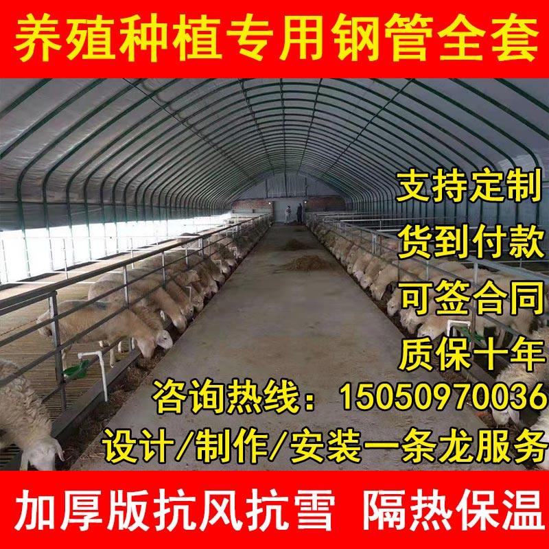 养殖大棚钢管骨架全牛棚羊圈猪舍养鸡场温室种植椭圆管