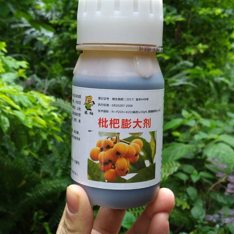枇杷叶面肥 枇杷生长调剂 枇杷膨大剂  促保果膨大增甜