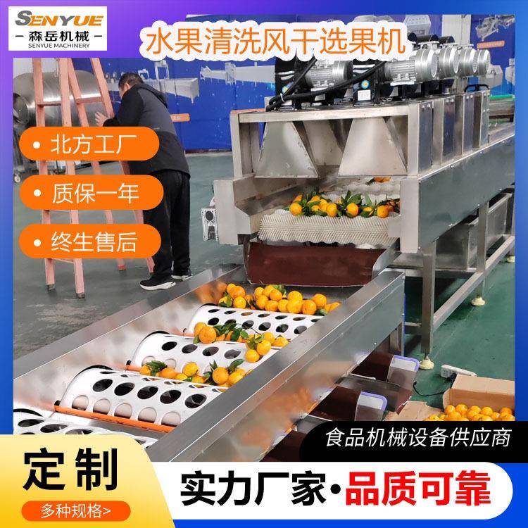 苹果分选清洗机全自动洗果机保鲜机分级机新会柑清洗烘干筛果机器