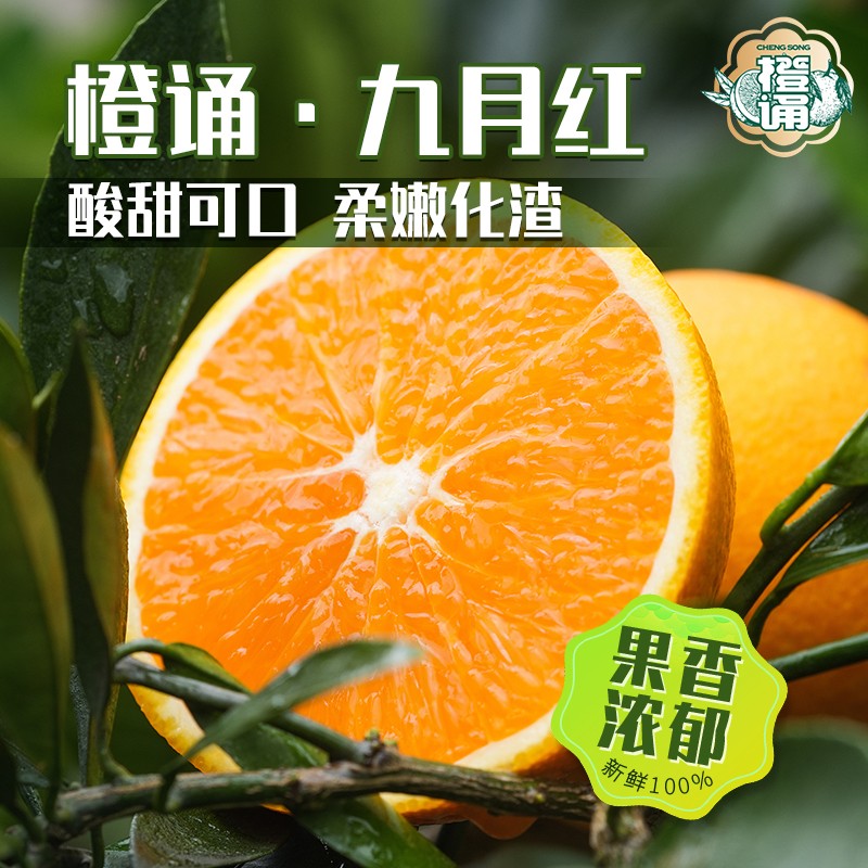 湖北秭归九月红脐橙新鲜水果当季手剥橙子孕妇水果整箱顺丰包邮