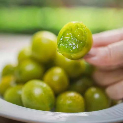 奈丸高原小青番茄新鲜水果番茄青玉樱桃番茄整箱顺丰包邮